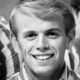 Al Jardine