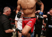 Andre Fili