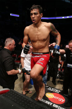 Andre Fili